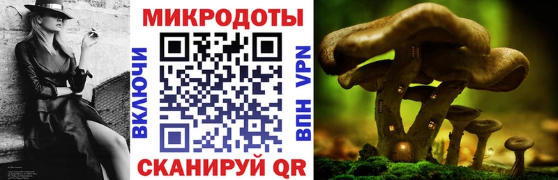 Купить закладки  Дивногорск  Галлюциногенные грибы прущие грибы 